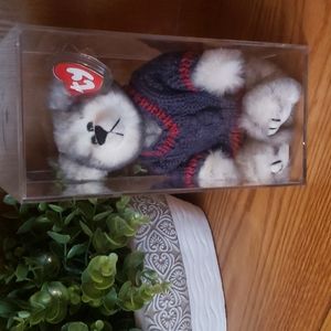 ALASKA BEAR "FAIRBANKS" WITH DISPLAY CASE